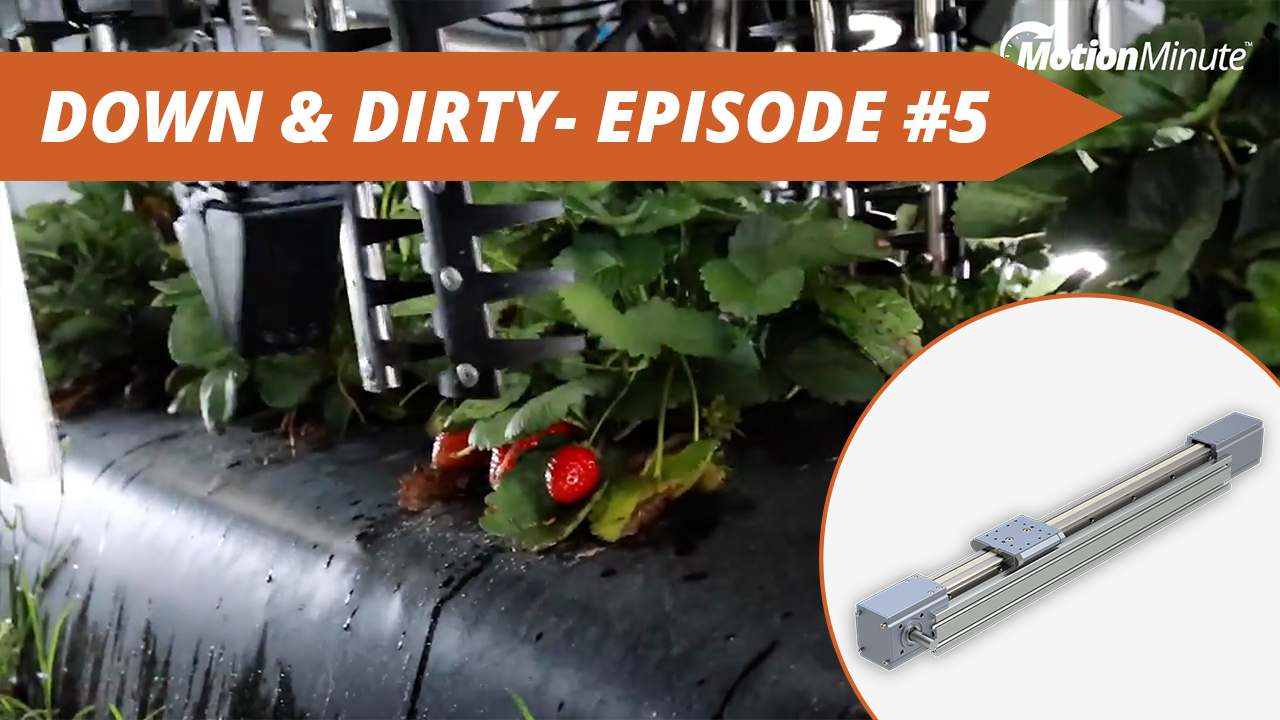 AgTech: Robotic Strawberry Picker